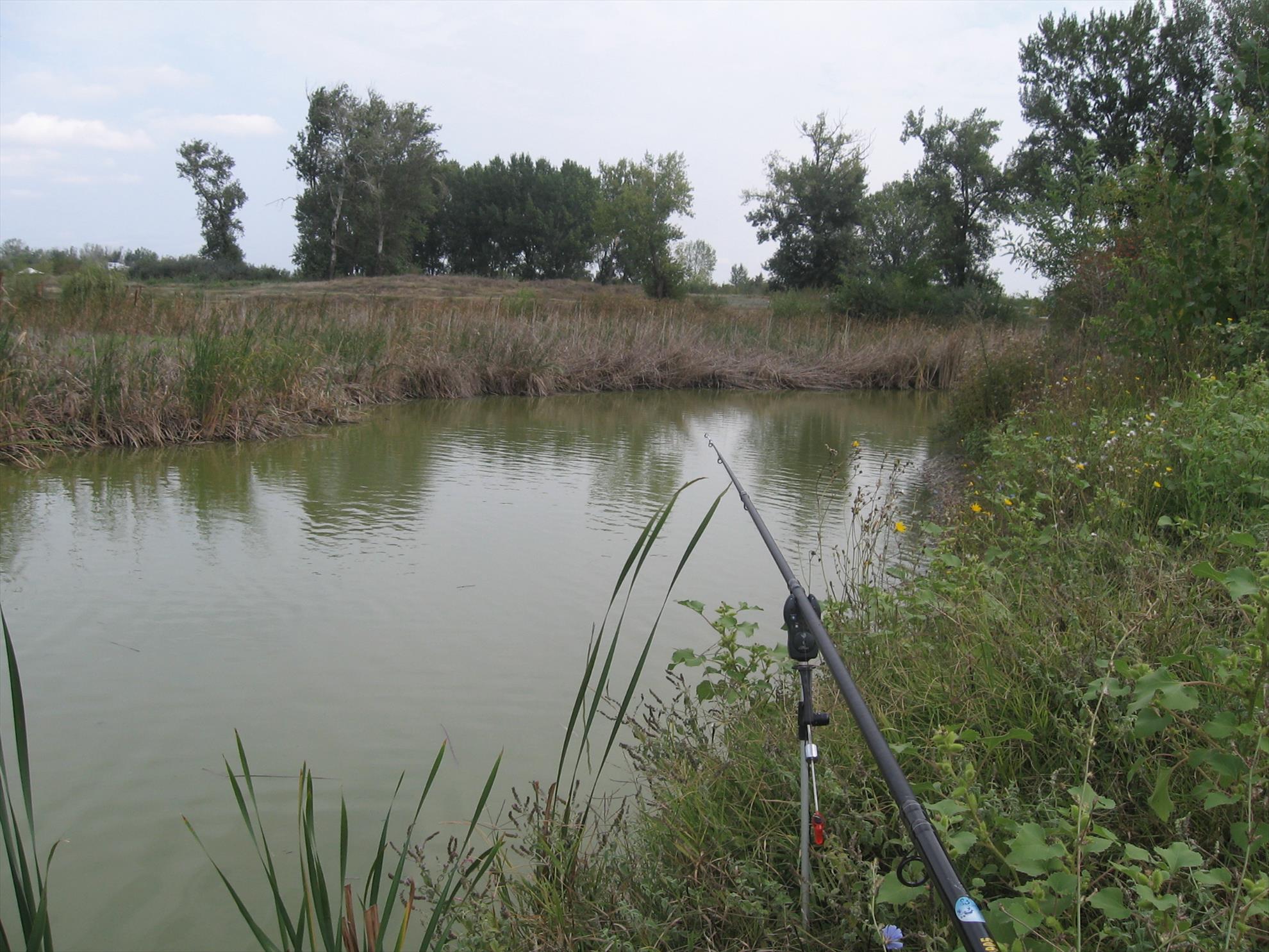 Draglina Biliesti Septembrie 2013 - img0748.JPG